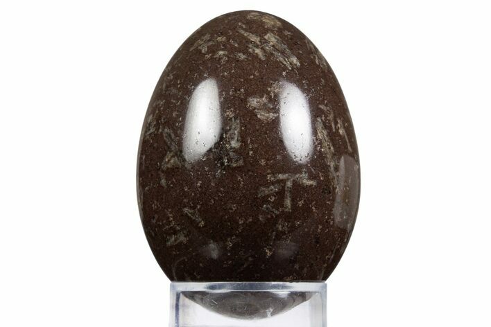 Polished Chinese Writing Rock Egg - Mexico #334159